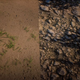 Imagen para el artículo titulado Jugadores de Red Dead Online logran escapar de los límites del juego y encuentran un fascinante desierto